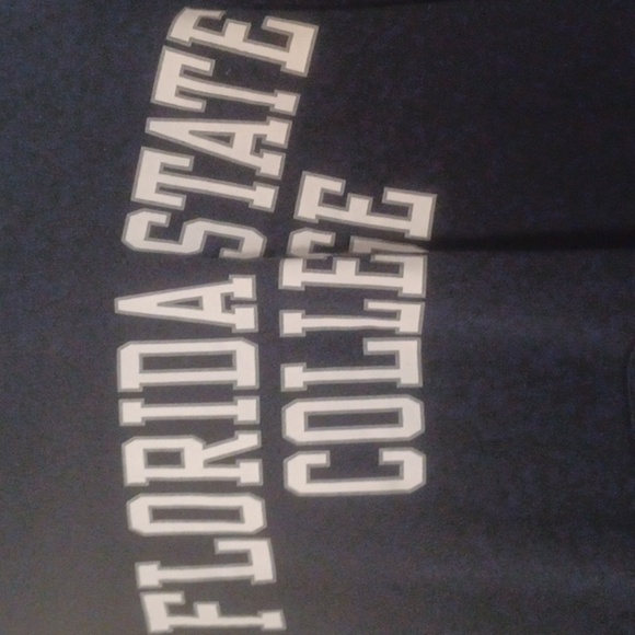 🌺Florida State College Hoodie - Picture 4 of 8